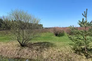 Vl S Wolf Lake Rd, Fruitport, MI 49415 - Photo 1
