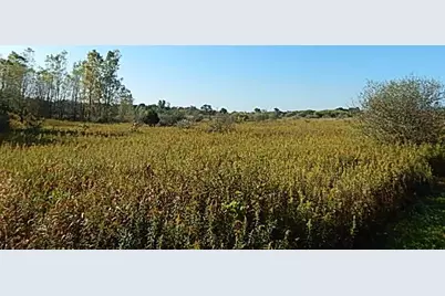 2857 Oakley Road, Stockbridge, MI 49285 - Photo 1