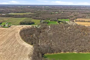 0 W Bricker Rd, Belding, MI 48809 - Photo 1