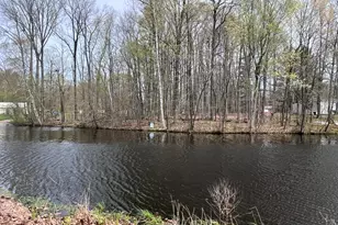 Lot 160 E Shore Dr, Stanton, MI 48888 - Photo 1