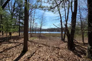 6446 N Sunshine Dr, Irons, MI 49644 - Photo 1