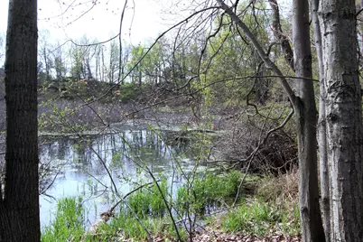 V/L Frost Road, Portland, MI 48875 - Photo 1
