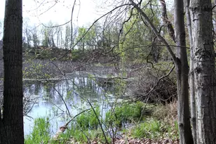 10299 Frost Rd, Portland, MI 48875 - Photo 1