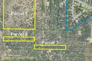 5 Acres Putnam Rd, Twin Lake, MI 49457 - Photo 1