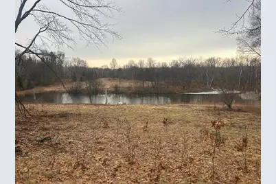 10300 E 24th Street, Reed City, MI 49677 - Photo 1