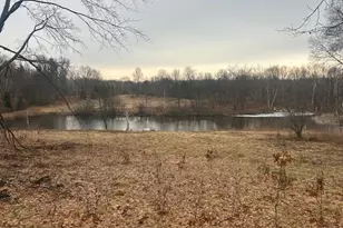 10300 E 24th St, Reed City, MI 49677 - Photo 1