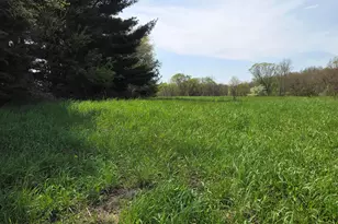 V/L 66th, Hartford, MI 49057 - Photo 1