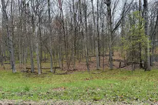 8196 Pine Tree Trail, Stanwood, MI 49346 - Photo 1