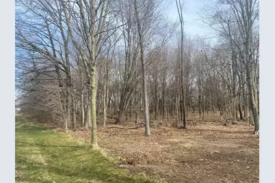 64893 Burg Road, Centreville, MI 49032 - Photo 1