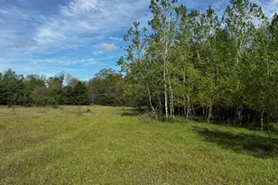 14771 180th Ave, Stanwood, MI 49346 - Photo 1