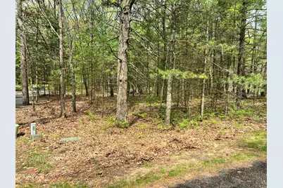 Lot 95 Iroquois Road, Pentwater, MI 49449 - Photo 1