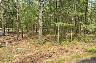 Lot 95 Iroquois Rd, Pentwater, MI 49449 - Photo 1