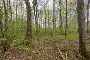 16130 140th Ave, Leroy, MI 49655 - Photo 1