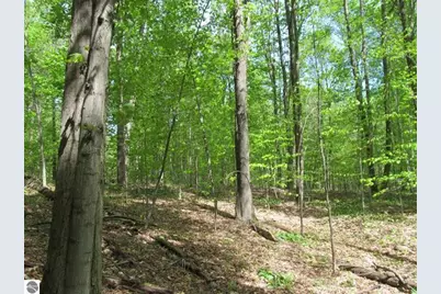 00 M-115, Tustin, MI 49688 - Photo 1
