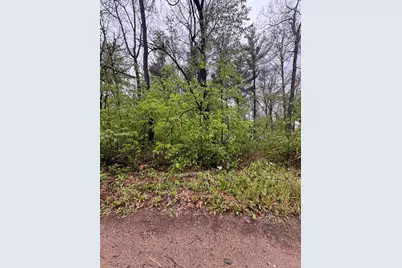 V/L Paw Paw Trail, Howard City, MI 49329 - Photo 1