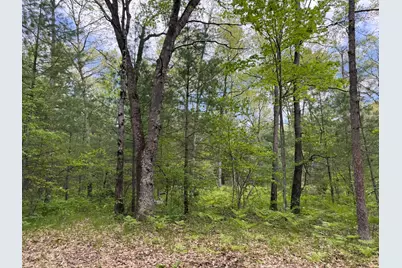 Harris Road, Wellston, MI 49689 - Photo 1