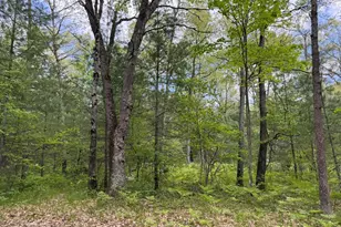 Harris Rd, Wellston, MI 49689 - Photo 1