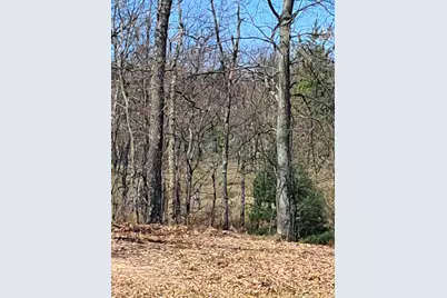 V/L Lakewood Road, Twin Lake, MI 49457 - Photo 1