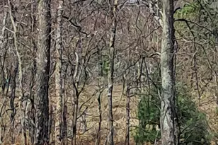 V/L Lakewood Rd, Twin Lake, MI 49457 - Photo 1