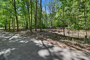 V/L Cherry St, Ludington, MI 49431 - Photo 1