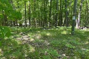 8297 Highland Trail, Canadian Lakes, MI 49346 - Photo 1