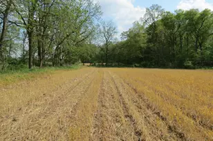 S Stony Lake Rd, Jackson, MI 49201 - Photo 1