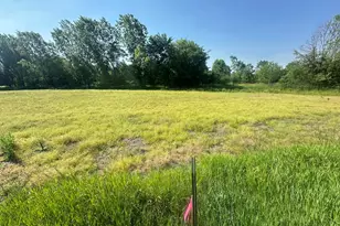S Stony Lake Rd, Jackson, MI 49201 - Photo 1