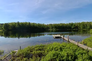 8100 N Marigold Ave, Bitely, MI 49309 - Photo 1