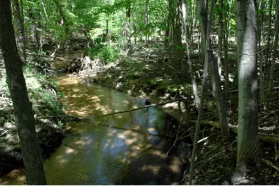 W Marshville Dam Road, Shelby, MI 49455 - Photo 1