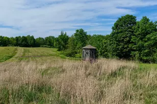 Valley Hwy, Vermontville, MI 49096 - Photo 1