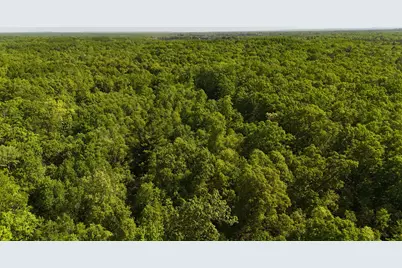 W 7 Mile Road, Irons, MI 49644 - Photo 1