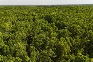 W 7 Mile Rd, Irons, MI 49644 - Photo 1