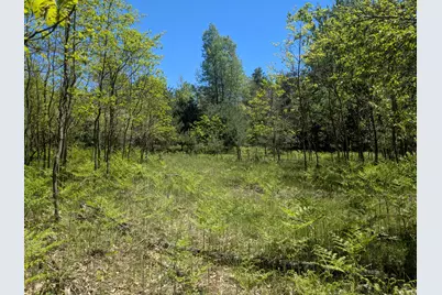 40Ac V/L Clements Road, Kaleva, MI 49645 - Photo 1