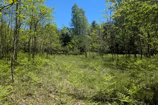 40Ac V/L Clements Rd, Kaleva, MI 49645 - Photo 1
