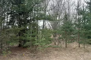 17850 Sparta Ave NW, Kent City, MI 49330 - Photo 1