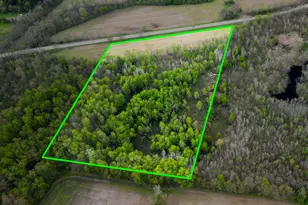 3 Bunkerhill Rd, Jackson, MI 49201 - Photo 1
