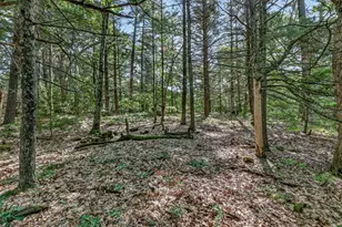 Vl W Michigan Rd, Twin Lake, MI 49457 - Photo 1