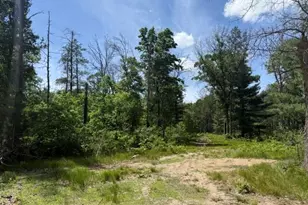 Parcel 2 Grove St, Baldwin, MI 49304 - Photo 1