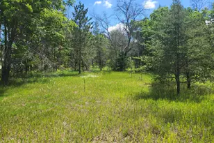 3496 S Michigan 37, Baldwin, MI 49304 - Photo 1