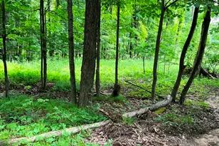 00 Pierce Rd, Stanwood, MI 49346 - Photo 1