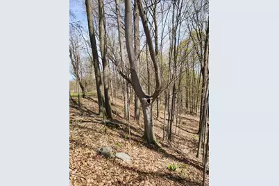 234 180th Avenue, Hersey, MI 49639 - Photo 1