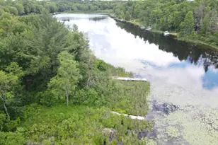 Norwegian Trail, Harrison, MI 48625 - Photo 1