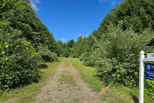 36th St, Gobles, MI 49055 - Photo 1