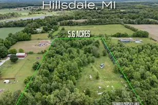 6691 W Hallett Rd, Hillsdale, MI 49242 - Photo 1