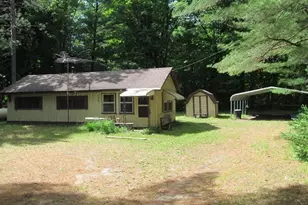 11052 N Hodenpyle Dam Rd, Mesick, MI 49668 - Photo 1