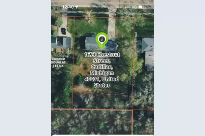 1693 Chestnut Street, Cadillac, MI 49601 - Photo 1