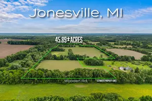 00 Goose Lake Rd, Jonesville, MI 49250 - Photo 1