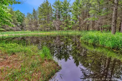 V/L E Kinney Rd, Branch, MI 49402 - Photo 1