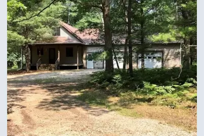 8641 Squaw Lake Road, Irons, MI 49644 - Photo 1