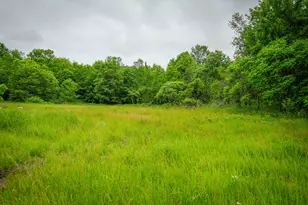 8183 W Lincoln St, Bitely, MI 49309 - Photo 1